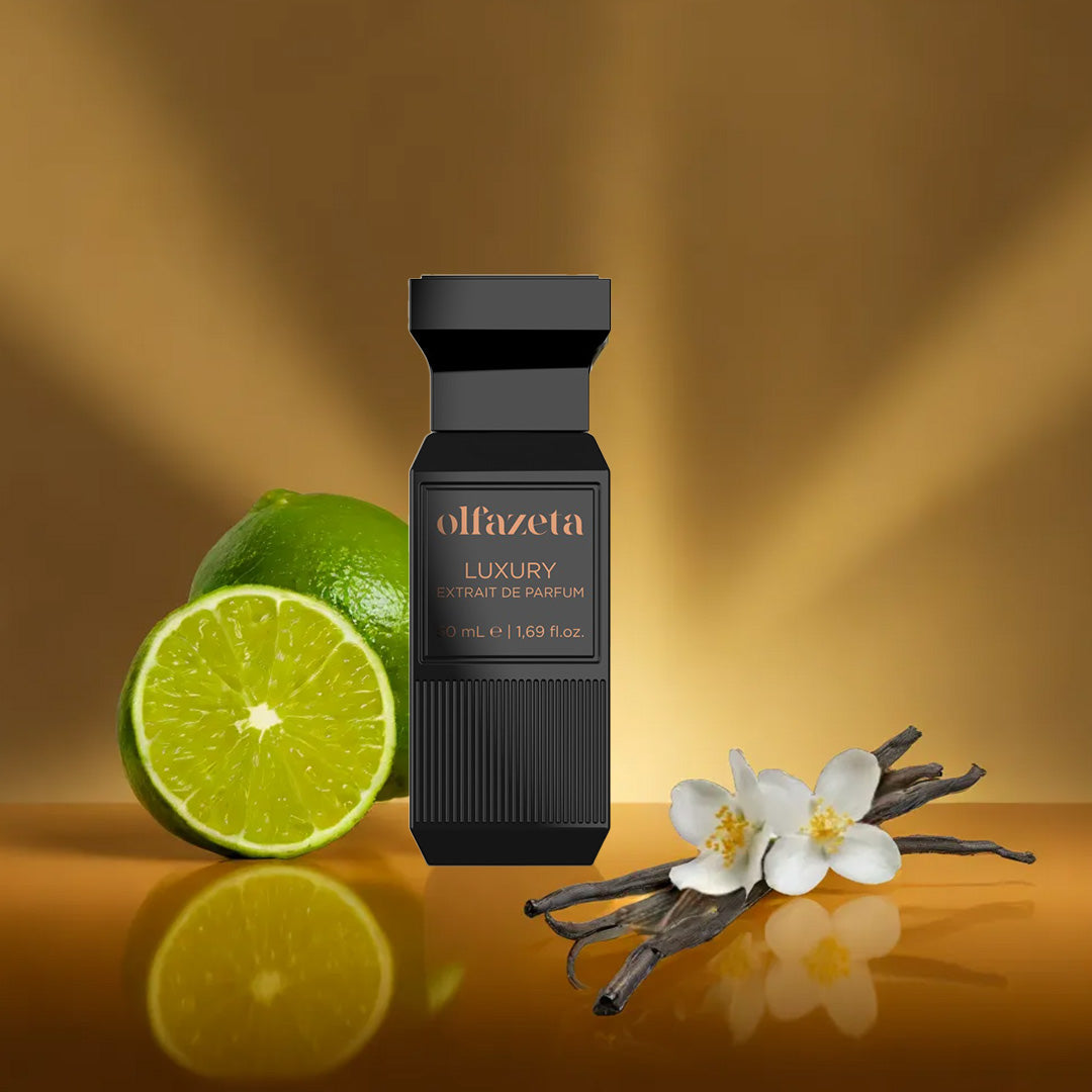 Chogan № 102 Soft Rays – Amber, Spicy, Lightly Woody
