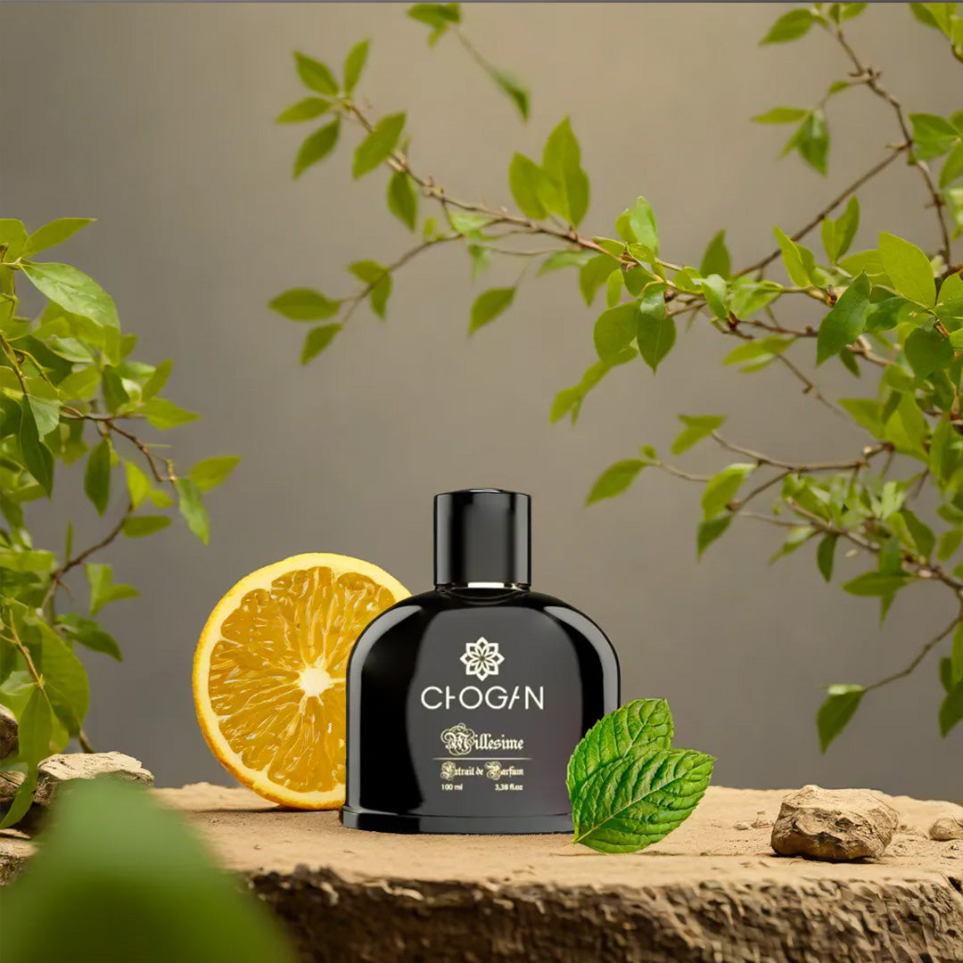 Chogan № 246 – True Self - Zitrisch, Aquatisch