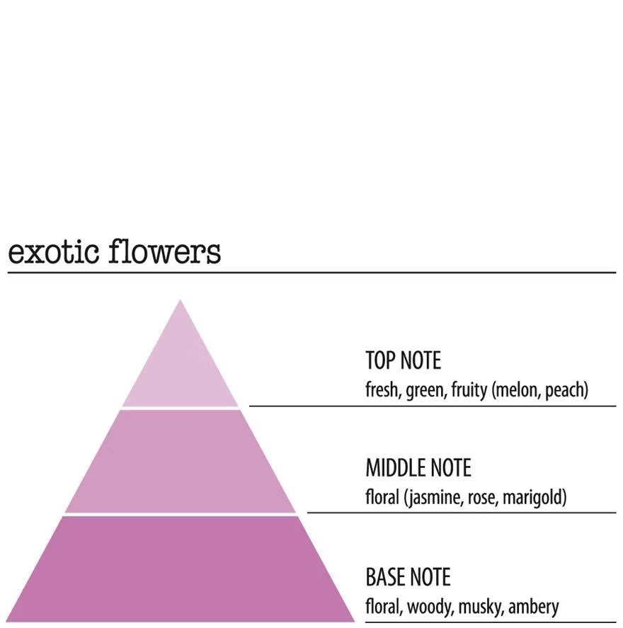 Home Emotions Aroma Sticks 120ml Exotic Flowers - Raumduft