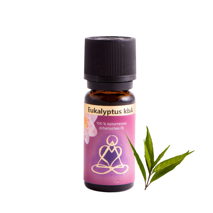 Ätherisches Öl Eukalyptus, 10 ml